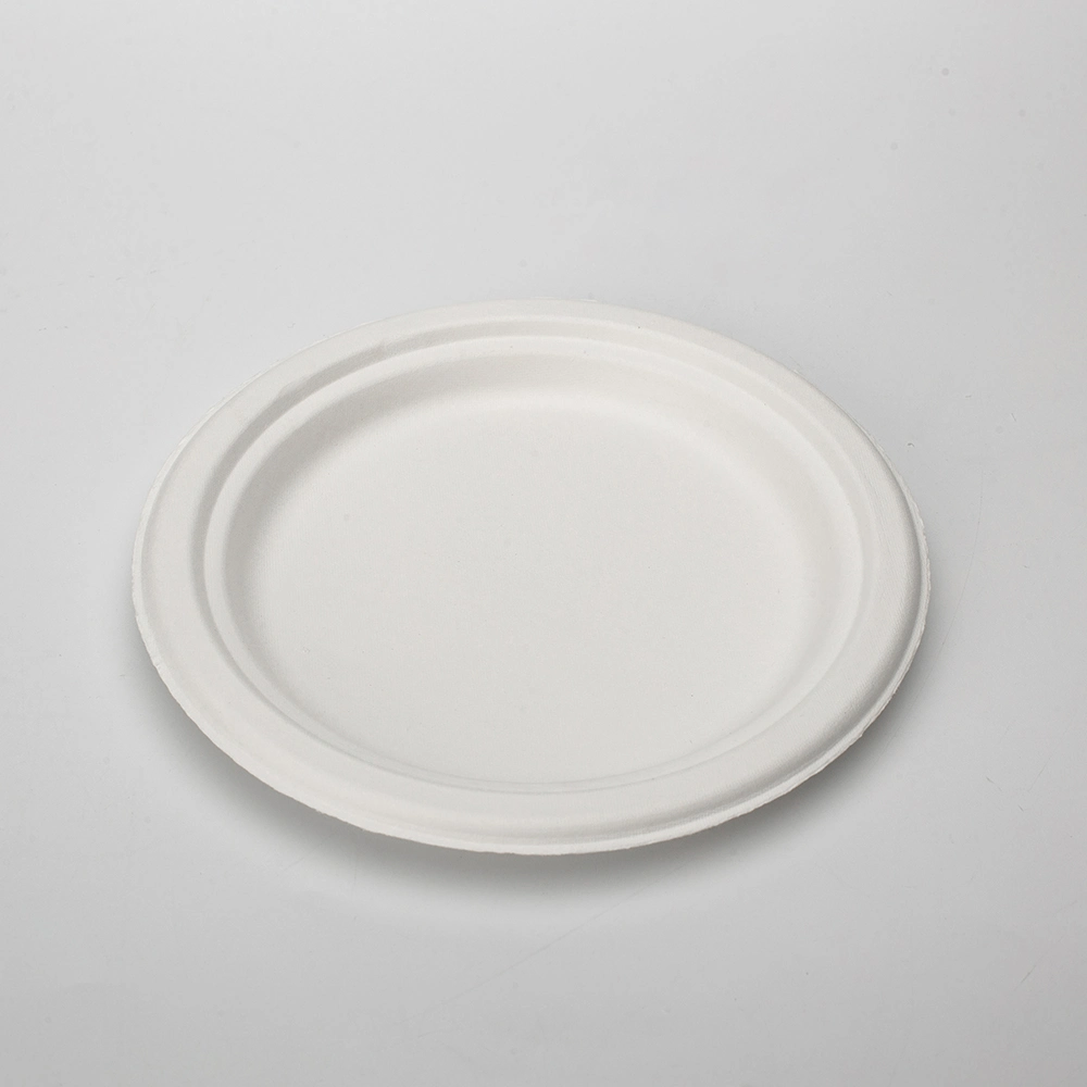 8.75 Inch Disposable Plates Bagasse Food Holder Food Standard Tableware