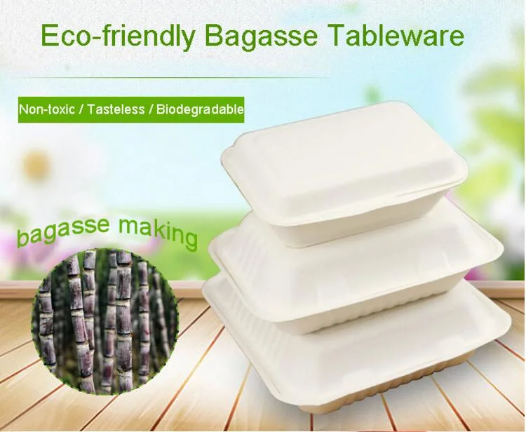 Eco Friendly Sugarcane Bagasse Round Plate